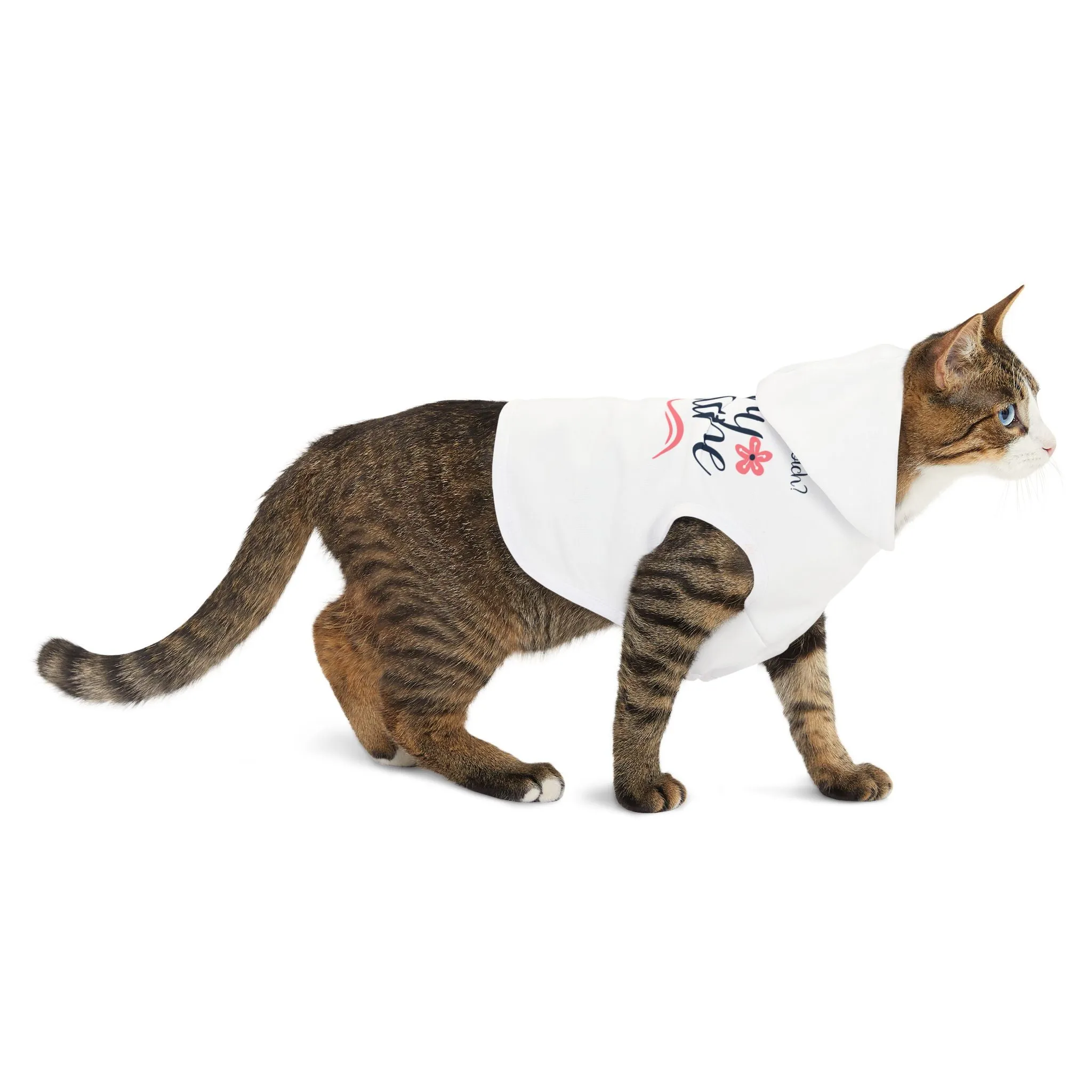Pet Hoodie. Very Demure.